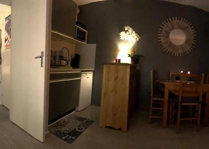 Appartement Aux Pieds Des Remontees Mecaniques
