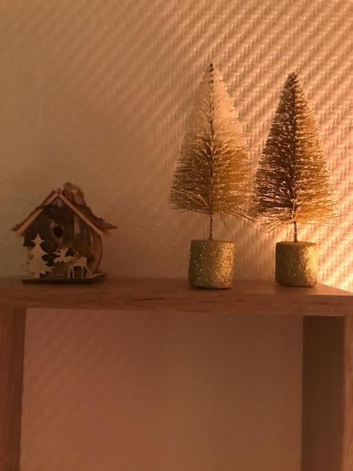 Apartment Aux Pieds Des Remontees Mecaniques *